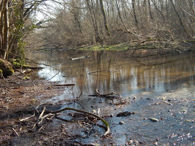 23.02.14 Parco del Ticino